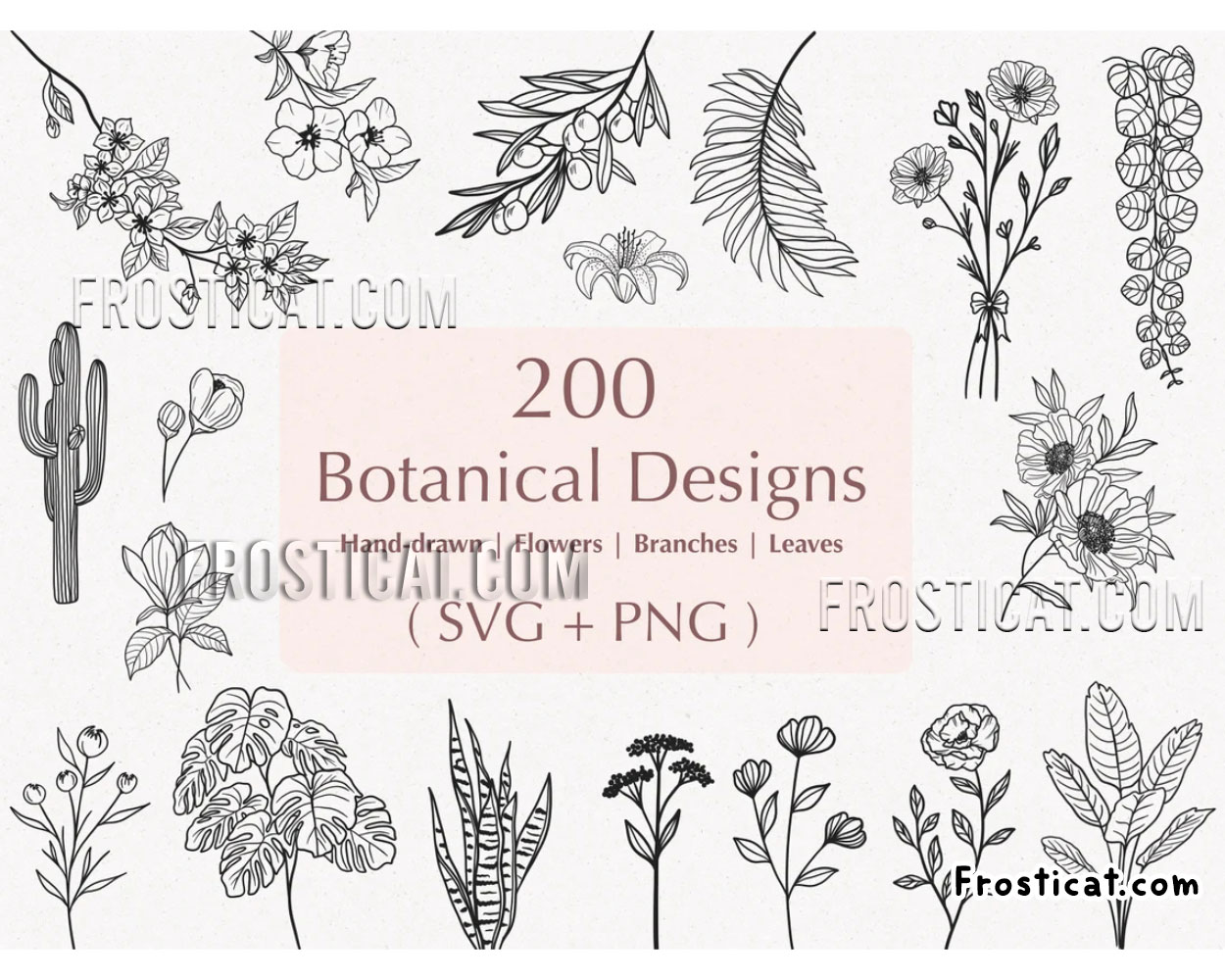 200 Botanical Svg Bundle, Botanical Graphics
