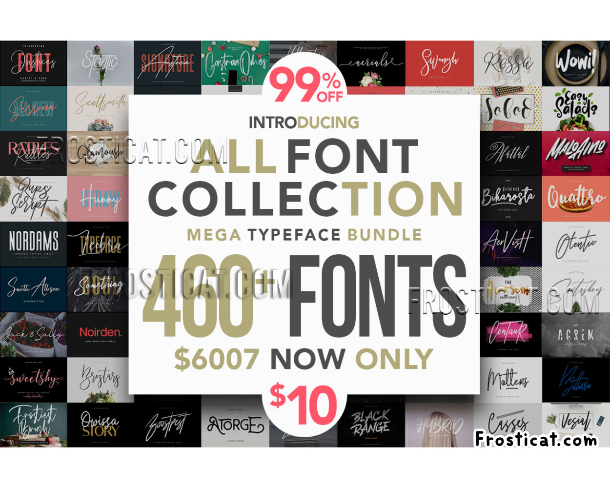 460 Typeface Fonts Bundle, Handwritten Font, Font Bundle